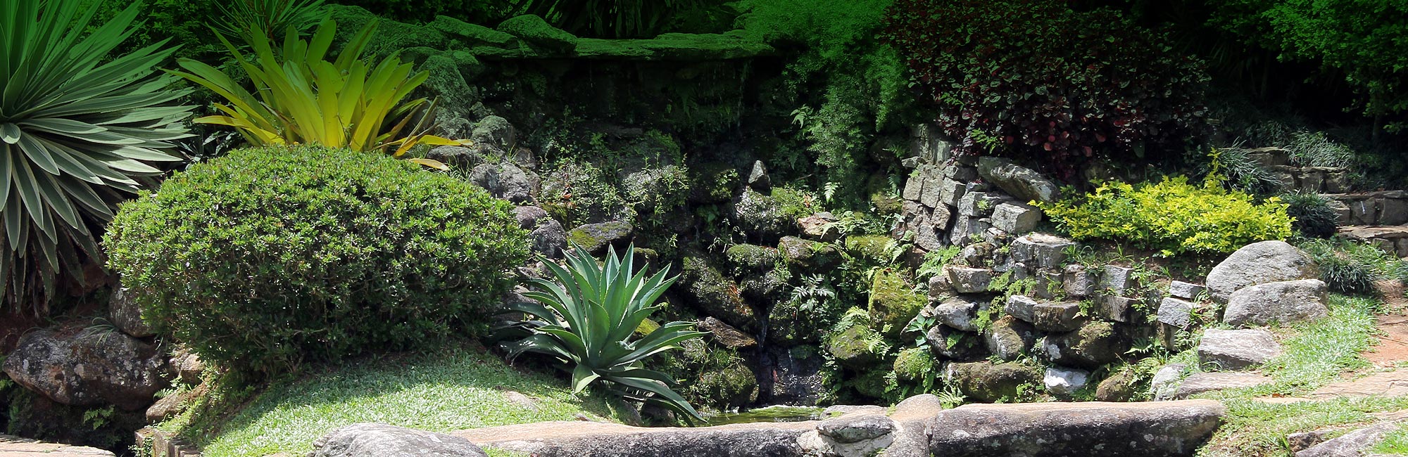 Paysagiste : création de parcs et jardin - Sartrouville